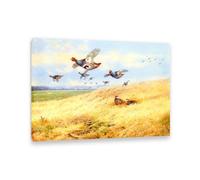 Hau3sh3a Archibald Thorburn Stampa su tela Partride grigie in volo Quadro Riproduzione su tela Telaio Uccelli Poster Decorazione Parete Soggiorno Camera da Letto85x60cm(33x24in) Con cornice