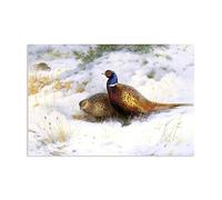 Hau3sh3a Archibald Thorburn Stampa su tela Un paio di fagiani nella neve Quadro Riproduzione su tela Telaio Uccelli Poster Decorazione Parete Soggiorno Camera da Letto60x40cm(24x16in) Senza cornice