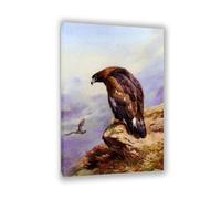 Hau3sh3a Archibald Thorburn Stampa su tela Un'aquila dorata Quadro Riproduzione su tela Telaio Uccelli Poster Decorazione Parete Soggiorno Camera da Letto75x50cm(30x20in) Con cornice