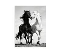 Hau3sh3a Quadro Cavallo Bianco e Nero Stampa Su Tela l'amore del cavallo quadri moderni con cavalli Arte da Parete per Soggiorno e Ufficio camera da letto 80x60cm(31x24in) Senza cornice