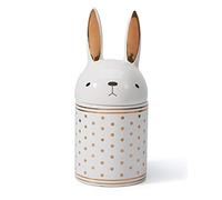 HAUCOZE Barattolo Biscotti Caramelle con Coperchio, Coniglio Statuetta Figurina Moderno Regalo Decorazione per Famiglia Amici Coppia 20cm