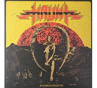 Haunt - If Icarus Could Fly - Vinyl Record - K72z