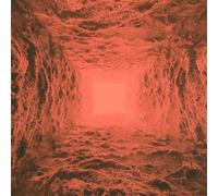 Haunted Plasma I (Vinyl LP) 12" Album