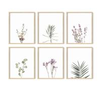 HAUS AND HUES Stampe floreali e poster di piante Set di 6 stampe botaniche