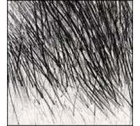 Hauser Fritz(Dr) "Pensieri Bianchi"