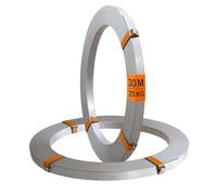 HausHeld® - Nastro di messa a terra, 30 m, 30 x 3,5 mm, zincato a caldo, acciaio piatto per protezione da fulmini e messa a terra, nastro in acciaio zincato per impianto PV e terra di fondazione