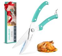 HAUSHOF Forbici da Cucina 10" 255 mm, robuste forbici da cucina affilate in acciaio inox, forbici da carne per carne, pollo, pesce, ossa, verdure
