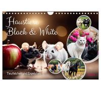 Haustiere - Black and White (Wandkalender 2026 DIN A4 quer), CALVENDO Monatskalender: Engelchen und Teufelchen