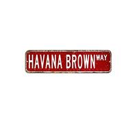 Havana Brown Cartello stradale animale domestico in metallo 7,6 x 30,5 cm, resistente allo sbiadimento, targa in metallo ispirata per bar, pub, negozio, strada, casa, grotta dell'uomo