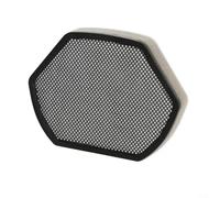 HavenDomicile Filtro sandwich in schiuma lavabile a due strati per aspirapolvere Bosch serie GS20 BGS21 per catturare polveri sottili (confezione da 2)