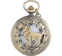 HAvern Orologio da taschino meccanico vintage 12 costellazioni serie a tema orologio da taschino al quarzo orologi da uomo moderni orologio catena regalo di compleanno (Ariete)