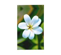 Hawaii Flower 1 stampa leggera bandiera decorativa bandiere stagionali per interni ed esterni esposizione patio prato giardino