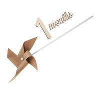 HAWILLOSCH 1set Accessori Fotografia Girandola Per Momenti Speciali e Scatti Memorabili Per Shower e Regali Per Fotografie Tema Mese e Compleanni