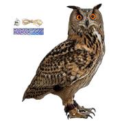 Hawk Bird Scherers per giardini, deterrente di piccioni con nastro riflettente, deterrente uccello_ piatto_ Plat P-Lastic Hawk Owls per spaventare gli uccelli, dispositivi re-pentili per uccelli