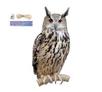 Hawk Bird Scherers per giardini, deterrente di piccioni con nastro riflettente, deterrente uccello_ piatto_ Plat P-Lastic Hawk Owls per spaventare gli uccelli, dispositivi re-pentili per uccelli