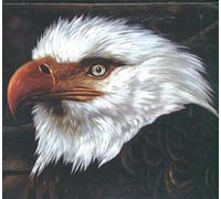 Hawk Is Howling