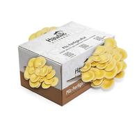Hawlik Pilzbrut | Coltura di funghi lime piccola I Coltivare funghi I nessuna conoscenza precedente richiesta I kit coltivazione funghi domestica per bambini I pleurotus lime freschi