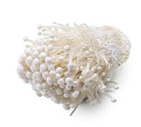 Hawlik Pilzbrut - Enoki Funghi Set - Cultura Funghi Bio - Set Coltivazione Funghi per Principiante e Intermedi - Kit per la coltivazione di Mushroom per la casa - Funghi Enoki dorati per mangiare
