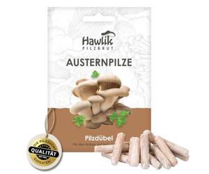 Hawlik Pilzbrut I l'originale Funghi di ostrica come funghi da coltivare da soli - un gioco da ragazzi raccogliere funghi freschi - kit funghi - 20 tasselli per funghi da coltivare su legno e paglia