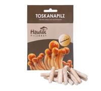 Hawlik Pilzbrut | I l'originale I Fungo Toscano come germoglio di micelio tassello da coltivare da soli I funghi coltivazione | un gioco da ragazzi per coltivare funghi freschi