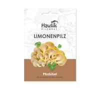 Hawlik Pilzbrut - l'originale - Pleuroto citrino come kit funghi coltivazione - un gioco da ragazzi per raccogliere funghi freschi - 20 tasselli con funghi micelio per la coltivazione