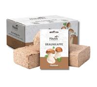 Hawlik Pilzbrut Set da coltivazione di funghi per il giardino, con cappuccio marrone, per la coltivazione di funghi in giardino, ideale per principianti e da regalo, paria di paglia rugosoannulata