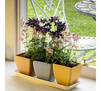 Haxnicks Set di vasi da davanzale, buccia di riso, multicolore, 29,5 x 10 x 10 cm