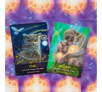 Hay House Archangel Animal Oracle - Carte Di Guida Angelo E Animali
