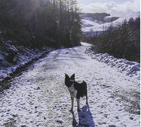 Hay Toby - The Longest Day