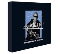 HAYABUSA JET I 7inch Single Collection Box (完全生産限定盤) (アナログ盤) (特典なし) [Analog]