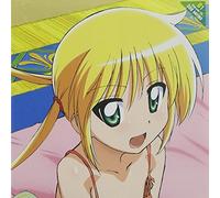 Hayate the Combat Butler: Chara