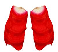 Hayaww 2 Pcs Velo Da Ballo Dei Fan, Ventagli Di Danza Del Ventre Velo A Ventaglio Di Danza Del Di Ballo Ventagli Lunghi, 1.8m, Per Grandi Spettacoli, Prove (rosso grande)