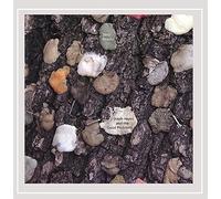 Hayes Steph & The Good Problems - Dirty Beauty