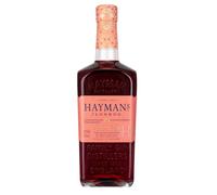 Hayman's Sloe Gin 26% vol. 0,70l