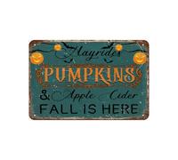 Hayrides Pumpkins & Apple Cider Fall is Here, poster vintage in latta per bagno, casa, Halloween, giardino, bar, 20,3 x 30,5 cm, look retrò, poster in metallo per casa, fattoria, garage, citazione