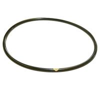 Hayward CLX200K - Guarnizone rotonda per clorinatore piscina CL 200/CL 220