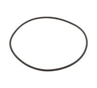 Hayward CXFHR1001 O-Ring per Filtro Capo