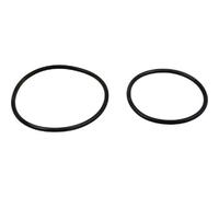 Hayward DEX2420Z8A De E Cartuccia Filtri Manuale Air Sollievo Valvola o-Ring Kit