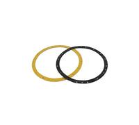 Hayward - Guarnizione Flangia proiettore Piscina 300 W - Nero - PRX20008