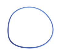 Hayward Parti Per Piscina CX400G Copertura O'Ring NS Easy Clear