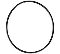 Hayward SX200Z6 O-Ring di Ricambio per Filtro a Sabbia Select
