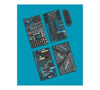 HAZET Assortimento di utensili 0-179XL/317, 317pz. Quantità:1