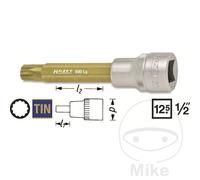 HAZET punta di vetro 100 MM MULTIDENT 1/2 M12