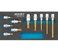 HAZET Schraubendreher-Steckschlüsseleinsatz-Satz 10-teilig 163-221/10