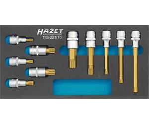 HAZET Schraubendreher-Steckschlüsseleinsatz-Satz 10-teilig 163-221/10