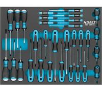 Hazet Set Cacciaviti Taglio a Croce Ph All'Interno Torx 31-teilig 163-524
