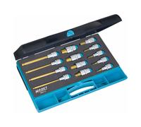 Hazet 986/13 Serie di Inserti Chiave a Bussola per Giraviti, Oro, Attacco Quadro, Cavo, 12.5 mm 1/2 di Pollice