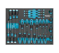 HAZET Set di cacciaviti 163-524/31 I 31 pezzi, profilo a taglio, profilo Phillips PH, profilo TORX interno I Infinite possibilità di combinazione