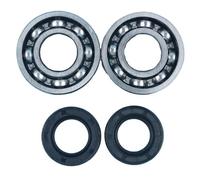 HAZIEC 2 x Cuscinetti a manovella e paraoli Adatti for Motosega MS230 MS250 MS210 021 023 025 MS 230 250.