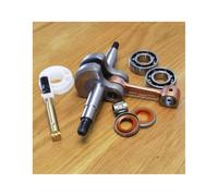 HAZIEC Albero Motore con Cuscinetti a Sfera e Set di paraoli Adatto for 51 55 Sostituisci OEM 503573806(with Oil Pump)